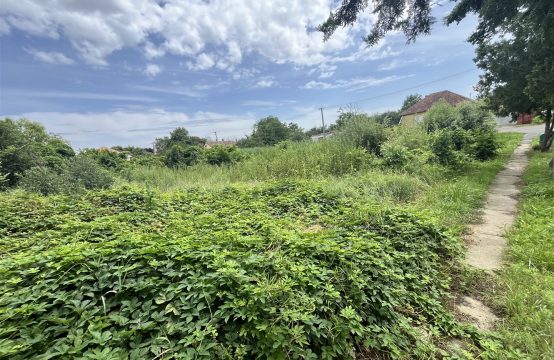 Sarkadon 1576 nm-es építési telek eladó